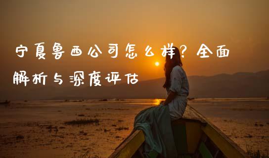 宁夏鲁西公司怎么样？全面解析与深度评估_https://www.gongyisiwang.com_广发期货手续费_第1张