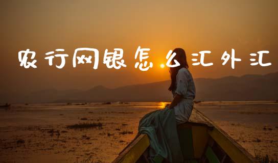 农行网银怎么汇外汇_https://www.gongyisiwang.com_股指期货_第1张