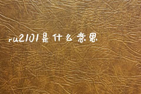 ru2101是什么意思_https://www.gongyisiwang.com_股指期货交易手续费_第1张