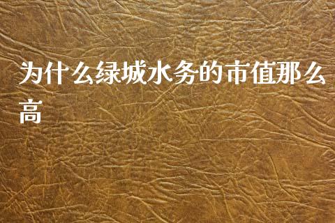 为什么绿城水务的市值那么高_https://www.gongyisiwang.com_原油期货_第1张