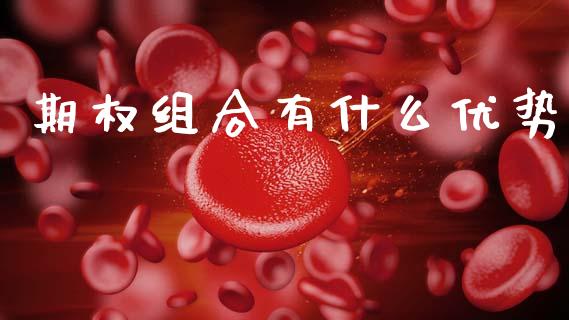 期权组合有什么优势_https://www.gongyisiwang.com_焦炭期货手续费_第1张