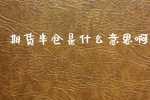 期货半仓是什么意思啊_https://www.gongyisiwang.com_恒指期货_第1张