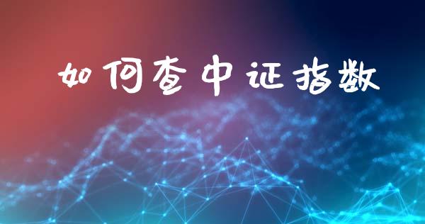 如何查中证指数_https://www.gongyisiwang.com_焦炭期货手续费_第1张