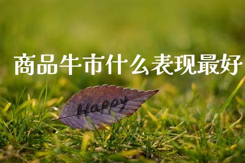 商品牛市什么表现最好_https://www.gongyisiwang.com_原油期货_第1张