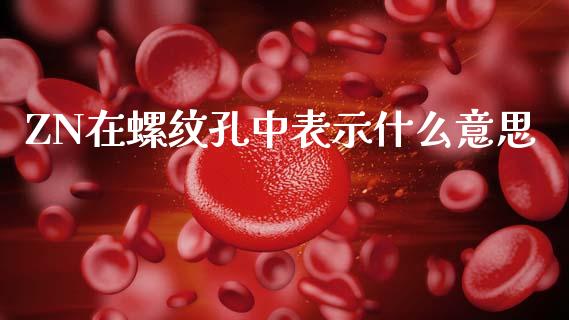 ZN在螺纹孔中表示什么意思_https://www.gongyisiwang.com_道指_第1张