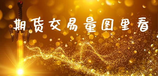 期货交易量图里看_https://www.gongyisiwang.com_期货公司手续费排名_第1张