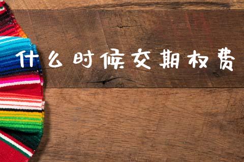 什么时候交期权费_https://www.gongyisiwang.com_股指期货_第1张