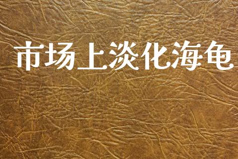 市场上淡化海龟_https://www.gongyisiwang.com_广发期货手续费_第1张