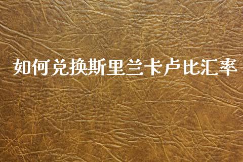 如何兑换斯里兰卡卢比汇率_https://www.gongyisiwang.com_恒指期货_第1张