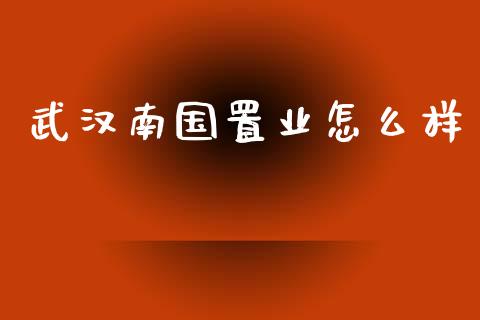武汉南国置业怎么样_https://www.gongyisiwang.com_焦炭期货手续费_第1张