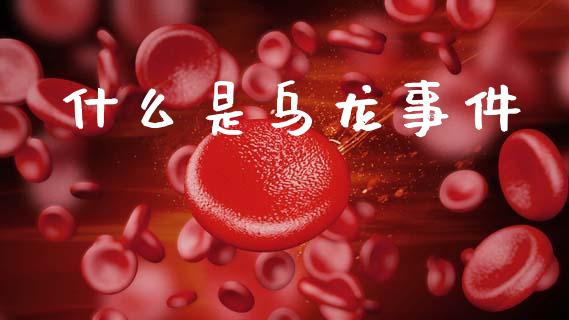 什么是乌龙事件_恒指期货_第1张_股指期货交易手续费_广发期货手续费_期货公司手续费排名_焦炭期货手续费 什么是乌龙事件_https://www.gongyisiwang.com_恒指期货_第1张