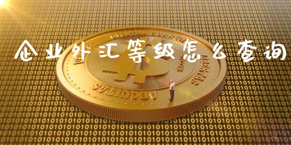 企业外汇等级怎么查询_https://www.gongyisiwang.com_恒指期货_第1张