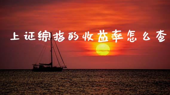 上证综指的收益率怎么查_https://www.gongyisiwang.com_期货公司手续费排名_第1张