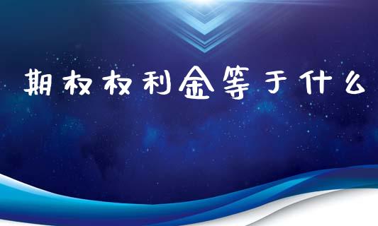 期权权利金等于什么_https://www.gongyisiwang.com_焦炭期货手续费_第1张