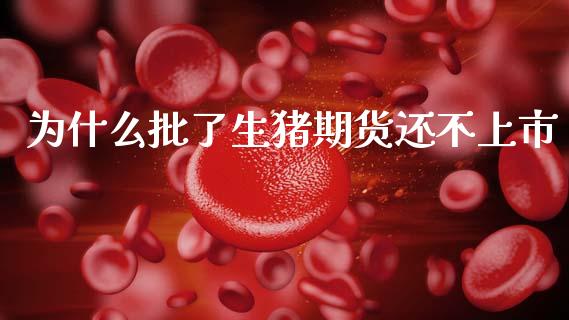 为什么批了生猪期货还不上市_https://www.gongyisiwang.com_股指期货交易手续费_第1张