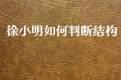 徐小明如何判断结构_https://www.gongyisiwang.com_期货公司手续费排名_第1张