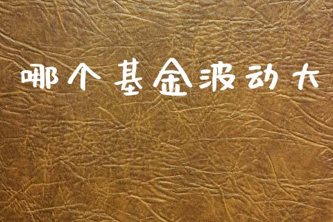 哪个基金波动大_https://www.gongyisiwang.com_道指_第1张