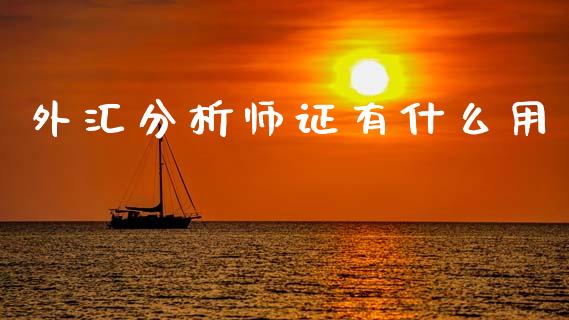 外汇分析师证有什么用_https://www.gongyisiwang.com_焦炭期货手续费_第1张