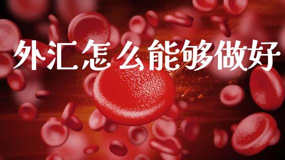 外汇怎么能够做好_https://www.gongyisiwang.com_焦炭期货手续费_第1张