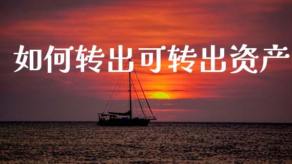 如何转出可转出资产_https://www.gongyisiwang.com_焦炭期货手续费_第1张