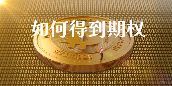 如何得到期权_https://www.gongyisiwang.com_股指期货_第1张