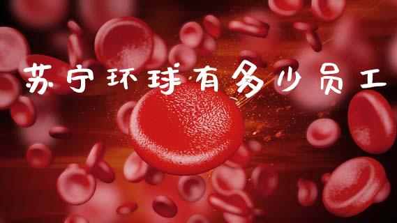 苏宁环球有多少员工_https://www.gongyisiwang.com_股指期货交易手续费_第1张