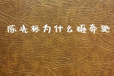陈光标为什么砸奔驰_https://www.gongyisiwang.com_道指_第1张