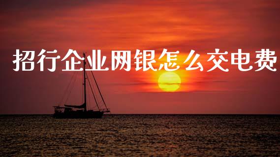 招行企业网银怎么交电费_https://www.gongyisiwang.com_道指_第1张
