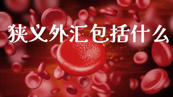 狭义外汇包括什么_https://www.gongyisiwang.com_原油期货_第1张