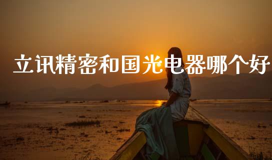 立讯精密和国光电器哪个好_https://www.gongyisiwang.com_焦炭期货手续费_第1张