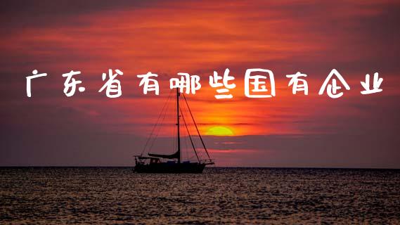 广东省有哪些国有企业_https://www.gongyisiwang.com_广发期货手续费_第1张