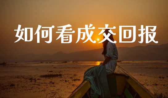 如何看成交回报_https://www.gongyisiwang.com_股指期货交易手续费_第1张