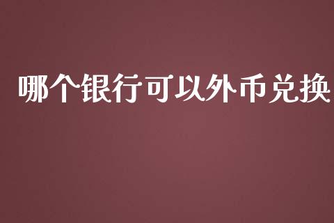 哪个银行可以外币兑换_https://www.gongyisiwang.com_焦炭期货手续费_第1张