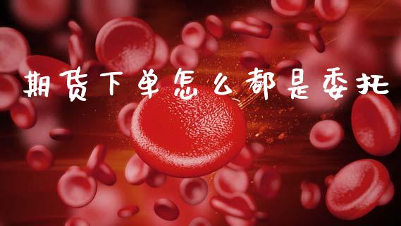 期货下单怎么都是委托_https://www.gongyisiwang.com_股指期货_第1张