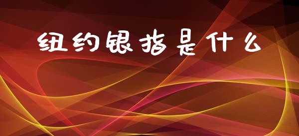 纽约银指是什么_https://www.gongyisiwang.com_广发期货手续费_第1张