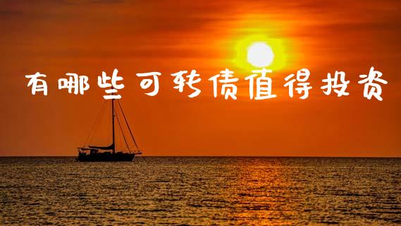 有哪些可转债值得投资_https://www.gongyisiwang.com_原油期货_第1张