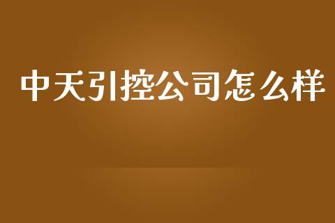 中天引控公司怎么样_https://www.gongyisiwang.com_期货公司手续费排名_第1张