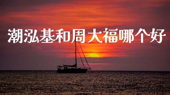 潮泓基和周大福哪个好_https://www.gongyisiwang.com_焦炭期货手续费_第1张