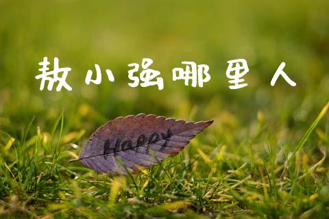 敖小强哪里人_https://www.gongyisiwang.com_广发期货手续费_第1张