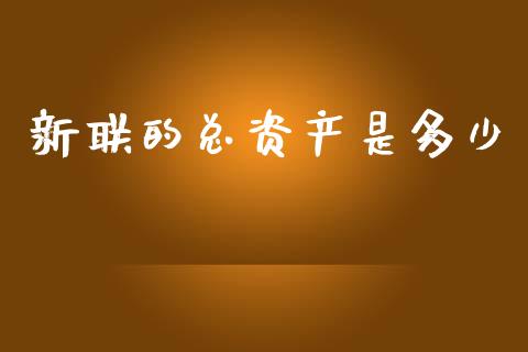新联的总资产是多少_https://www.gongyisiwang.com_广发期货手续费_第1张