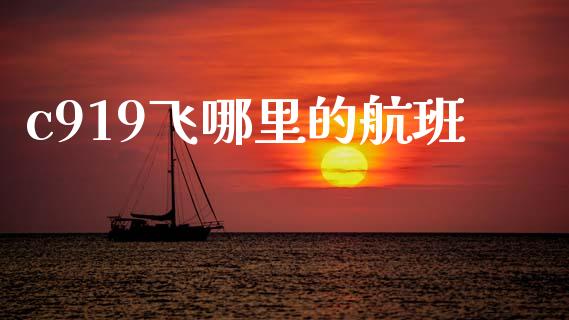 c919飞哪里的航班_https://www.gongyisiwang.com_股指期货交易手续费_第1张