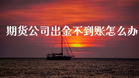 期货公司出金不到账怎么办_https://www.gongyisiwang.com_股指期货交易手续费_第1张