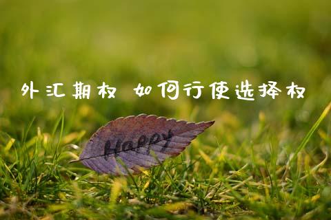 外汇期权 如何行使选择权_https://www.gongyisiwang.com_恒指期货_第1张