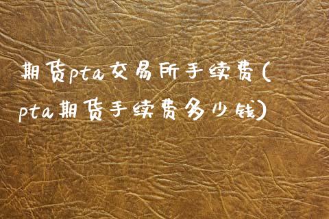期货pta交易所手续费(pta期货手续费多少钱)_https://www.gongyisiwang.com_股指期货交易手续费_第1张