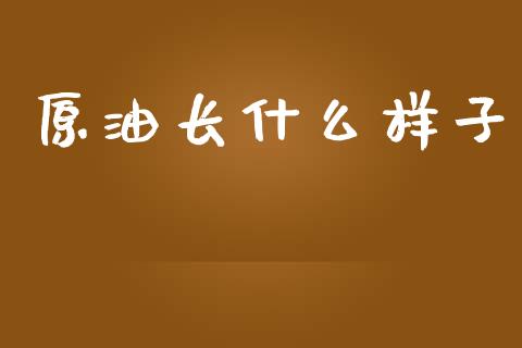 原油长什么样子_https://www.gongyisiwang.com_股指期货_第1张
