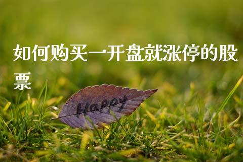 如何购买一开盘就涨停的股票_https://www.gongyisiwang.com_道指_第1张
