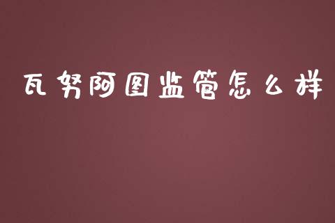 瓦努阿图监管怎么样_https://www.gongyisiwang.com_股指期货交易手续费_第1张