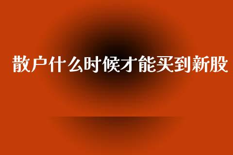 散户什么时候才能买到新股_https://www.gongyisiwang.com_道指_第1张