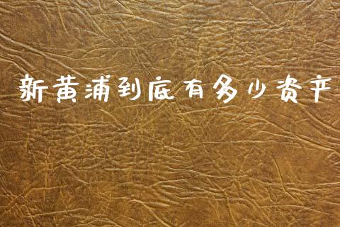 新黄浦到底有多少资产_https://www.gongyisiwang.com_股指期货交易手续费_第1张