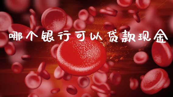 哪个银行可以贷款现金_https://www.gongyisiwang.com_恒指期货_第1张